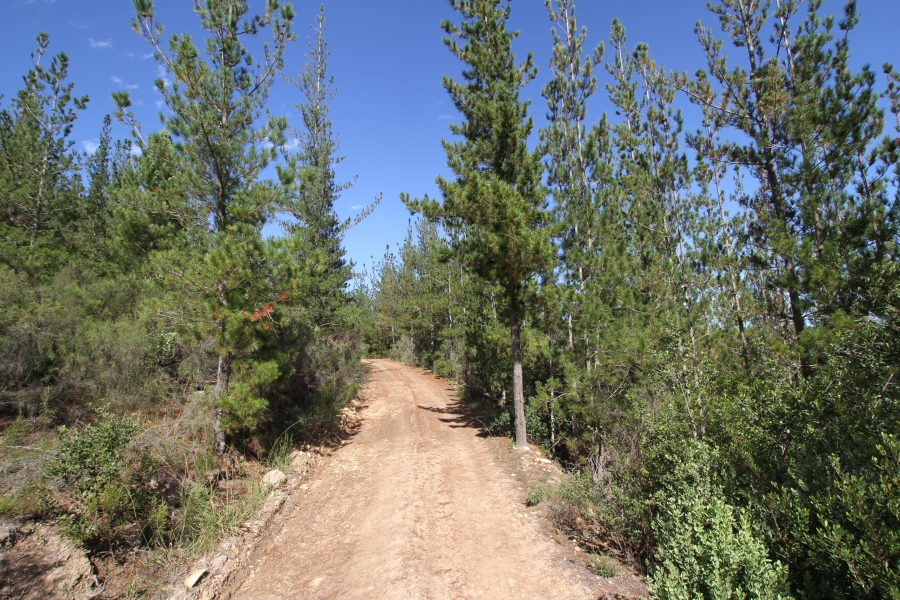 0 Bedroom Property for Sale in Plettenberg Bay Rural Western Cape